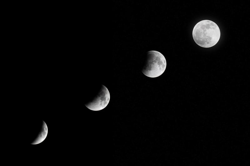 Moonlit Reflections